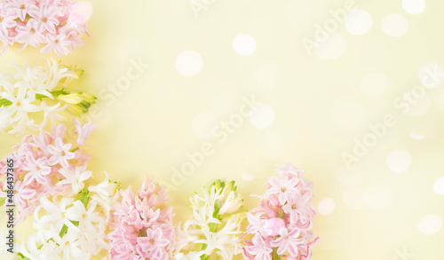 Delicate hyacinth flowers on a light background. Image wit selective focus