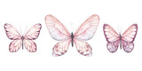 watercolor butterflies hand drawn illustrations, isolated elements on white background