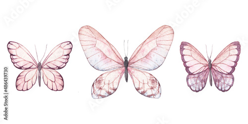 watercolor butterflies hand drawn illustrations, isolated elements on white background