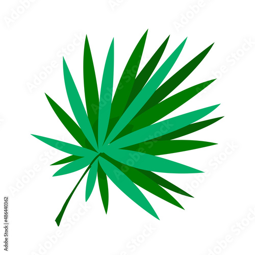 Green leaf in cartoon style. Plant leaf for decoration. Vector illustration isolated on white background.