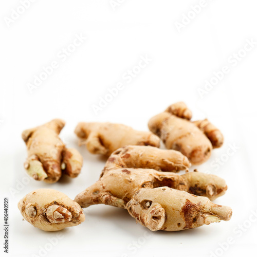 Raw Kencur or Cikur, Known as Aromatic Ginger
