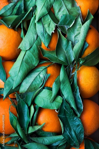 oranges on the table