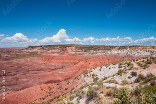 petrified forest, Painted Desert