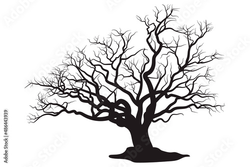 Scary dead tree silhouette image