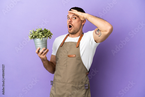 Brazilian Gardener man holding a plant over isolated purple background doing surprise gesture while looking to the side