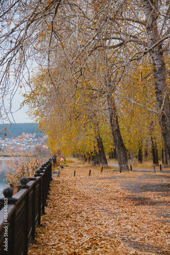 autumn