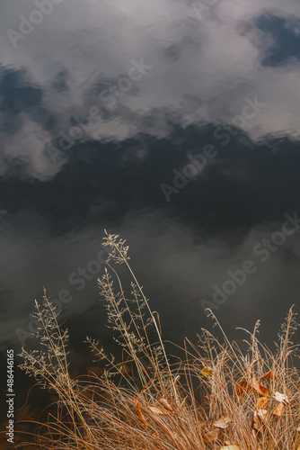 
reflection of the sky