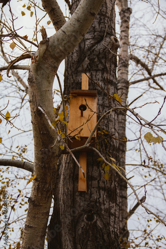 birdhouse