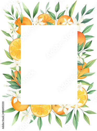Orange citrus watercolor frame isolated on white background. Summer wedding invitation, greeting card. 