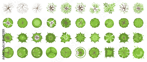 Trees and plants top view for landscape design. Icon set of colored trees and grass for architectural map, plan. Green space. Element isolated on white. Vector illustration. Kit for design project