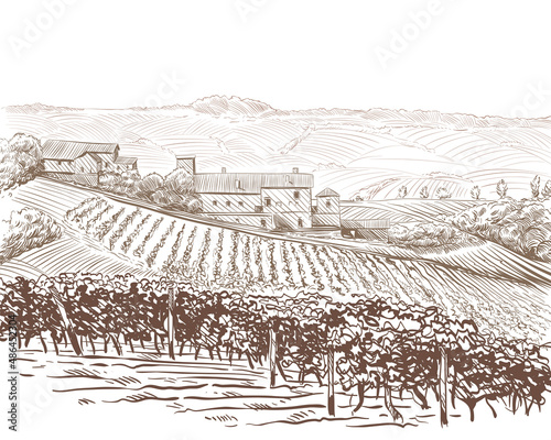 Vineyard landscape vector sketch design. Hand drawn illustration