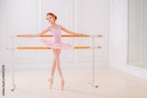 Little girl ballerina dancer in tutu learning ballet dance at dance school