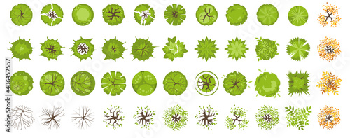 Trees and plants top view for landscape design. Icon set of colored trees and grass for architectural map, plan. Green space. Element isolated on white. Vector illustration. Kit for design project