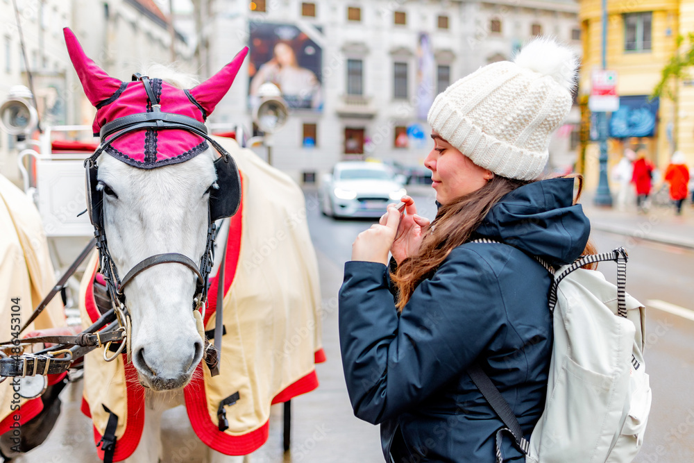 Young tourist next to the horses of a carriage, at Vienna.