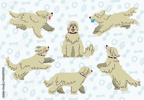 South Russian Shepherd. Set of vector illustration.