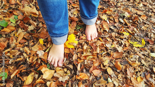 Herbst Laub Fuß Füße barfuß Pfad Weg draußen Erfahrung Kind Fußtapsen Junge Mann Frau fühlen spüren berühren erkunden erleben naturlehrpfad natur natürlich schuhlos frei waldbaden Wald Park