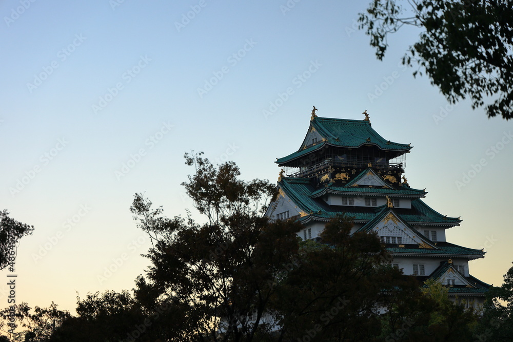 Fototapeta premium 大阪城 大阪 日本
