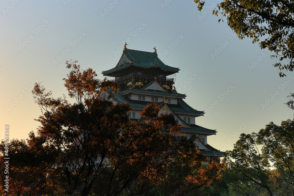 Fototapeta premium 大阪城 大阪 日本