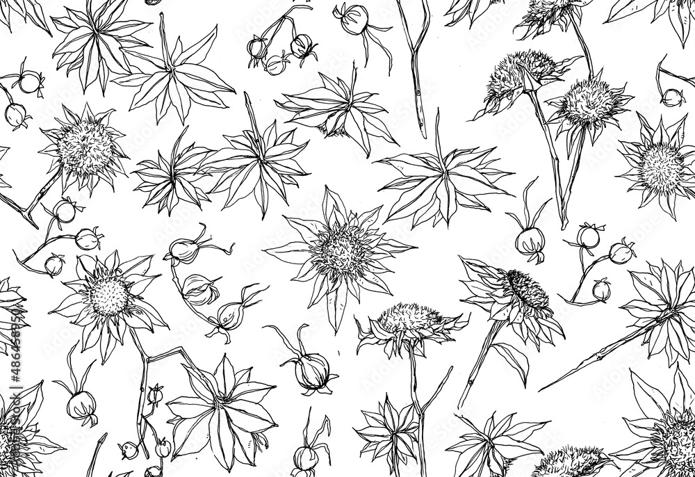 Patrón de flores de línea negras sobre fondo blanco, flores secas, ilustración de línea en blanco y negro Patrón de flores de línea negras sobre fondo blanco, flores secas, ilustración de línea en blanco y negro