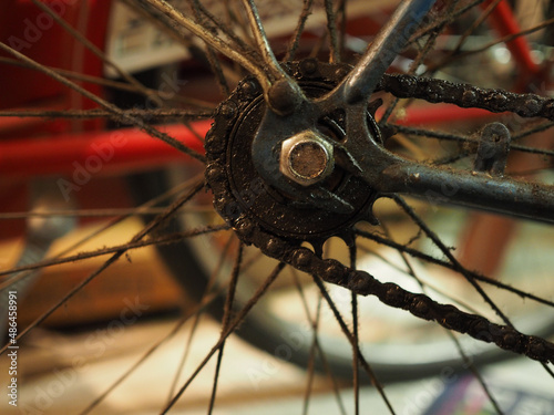 bike freewheel and chain
