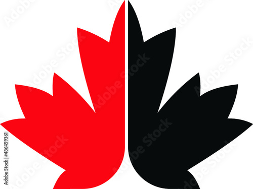 Leaf logo design 