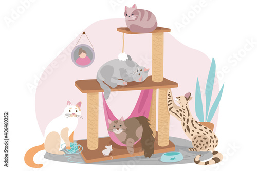 Cute pets sitting concept background. Cats are sitting on couch in living room, relaxing or playing in cozy room. Domestic animals care. Vector illustration in flat cartoon design