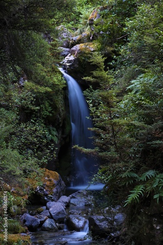 Waterfall in forested creek.