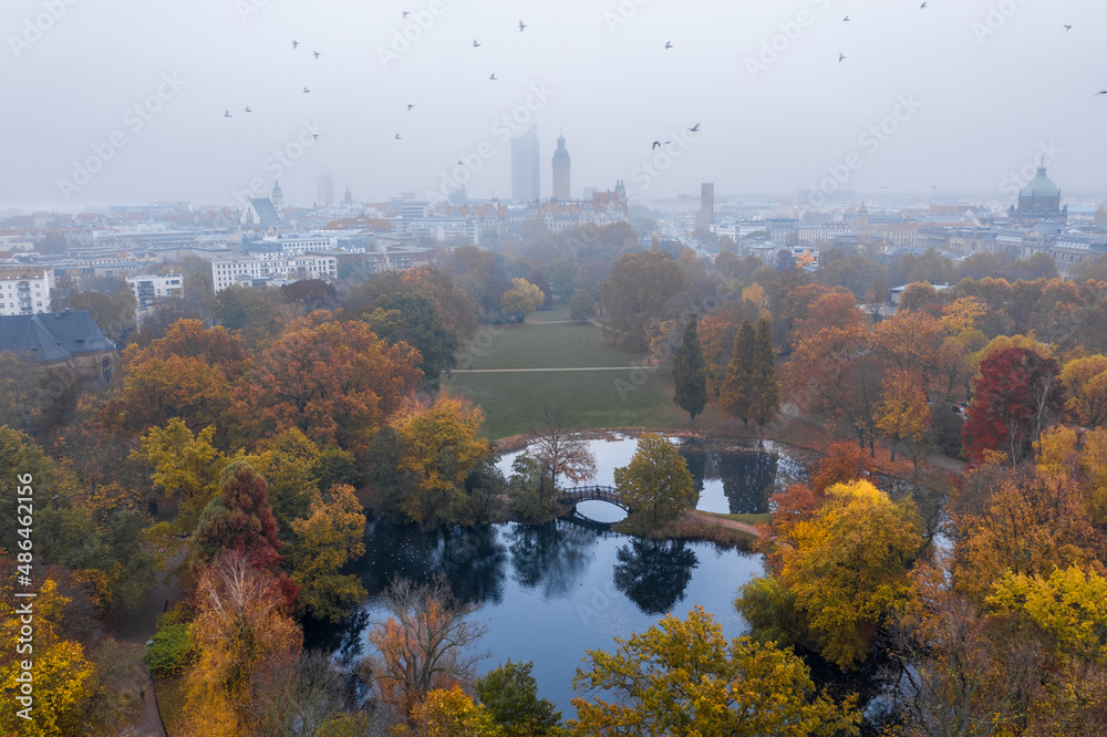 Autumn park - Leipzig Germany Johannapark - flying birds, foggy mist weather