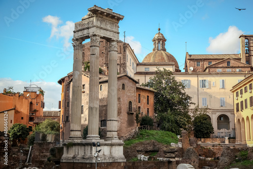 The Temple of Apollo Sosianus (previously known as the temple of Apollo Medicus) is a Roman temple dedicated to Apollo in the Campus Martius, next to the Theatre of Marcellus photo