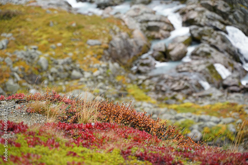 Beautiful landscape in Norway in fall 2021. © Ulrike