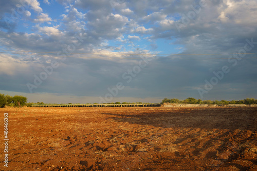 Rural landscape on Apulia between Bitonto and Conversano photo