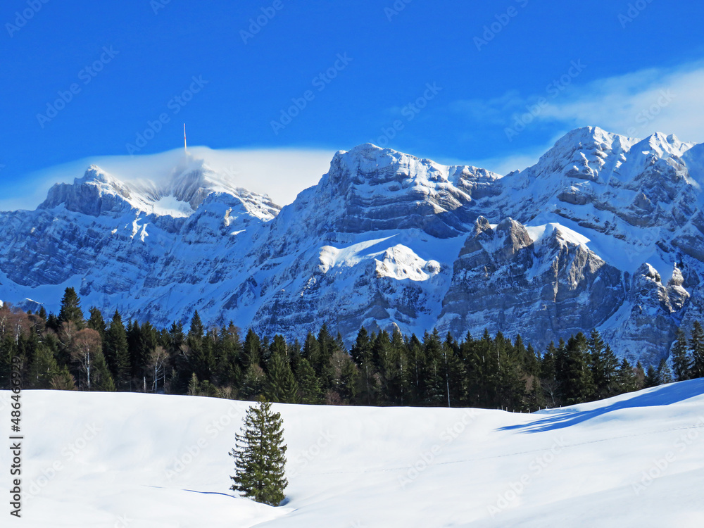 Winter ambience and beautiful idyllic atmosphere on the snow-capped Alpine mountain Alpstein in the Appenzell Alps massif - Switzerland (Schweiz)