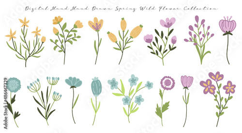 cute hand drawn spring flowers illustration clip art collection