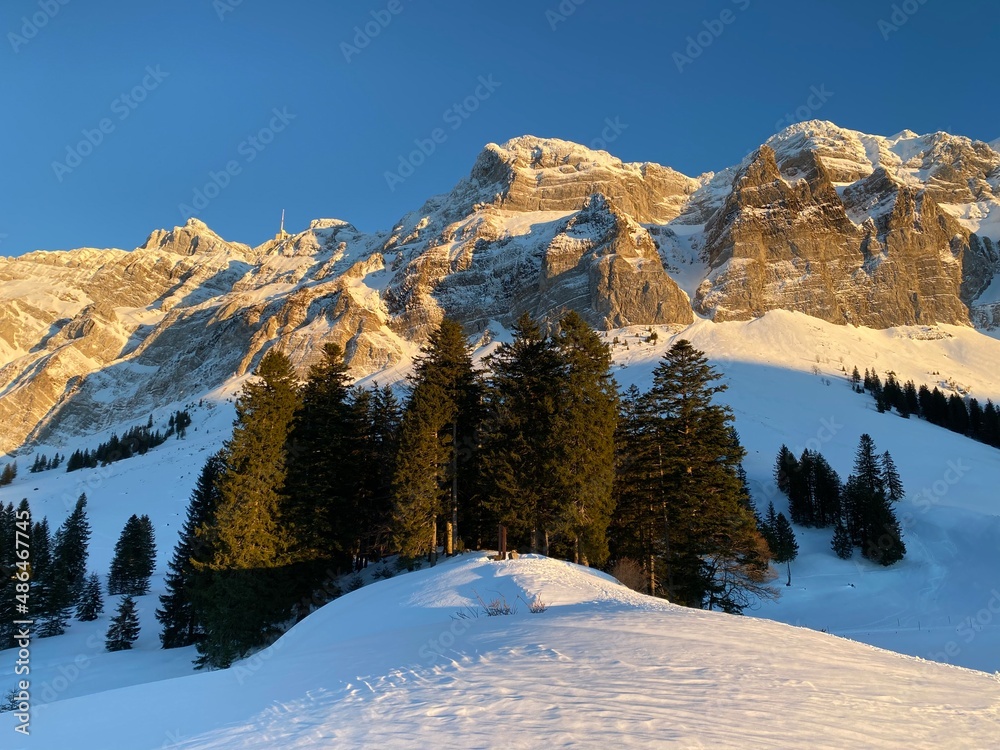 Winter ambience and beautiful idyllic atmosphere on the snow-capped Alpine mountain Alpstein in the Appenzell Alps massif - Switzerland (Schweiz)