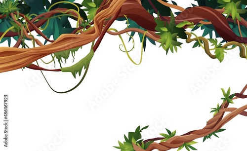 Liana or vine winding branches cartoon vector illustration. Jungle tropical climbing plants.