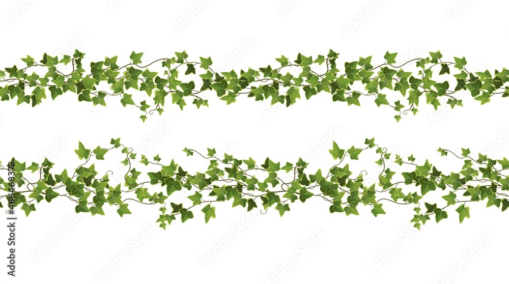 Seamless Ivy plant branch cartoon vector illustration. limbing vine.