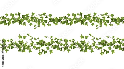Obraz na płótnie Seamless Ivy plant branch cartoon vector illustration