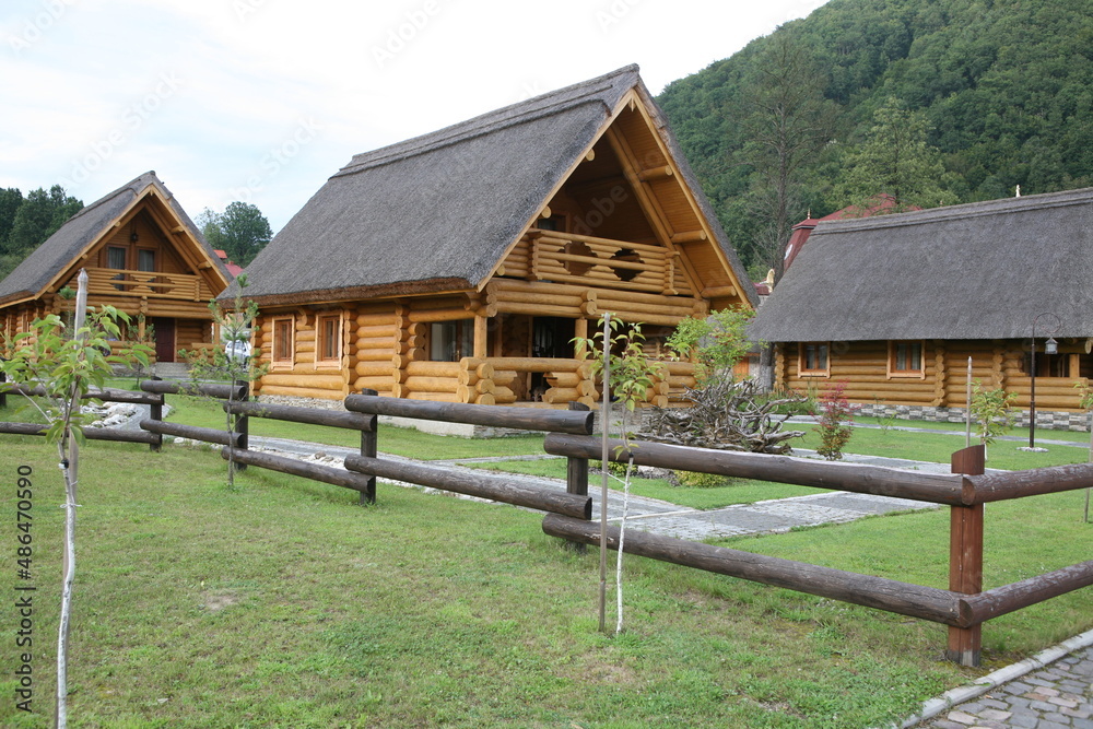 Obraz premium wooden house in the village