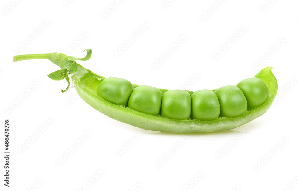 Green pea bean on white background Green pea bean on white background