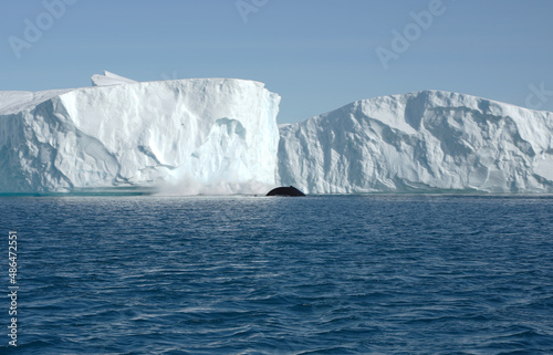 iceberg in polar regions © Ulrike