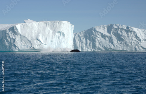 iceberg in polar regions