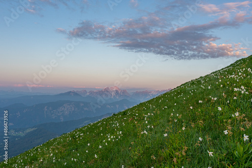 Morning in the mountains