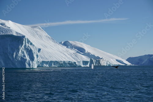 iceberg in polar regions