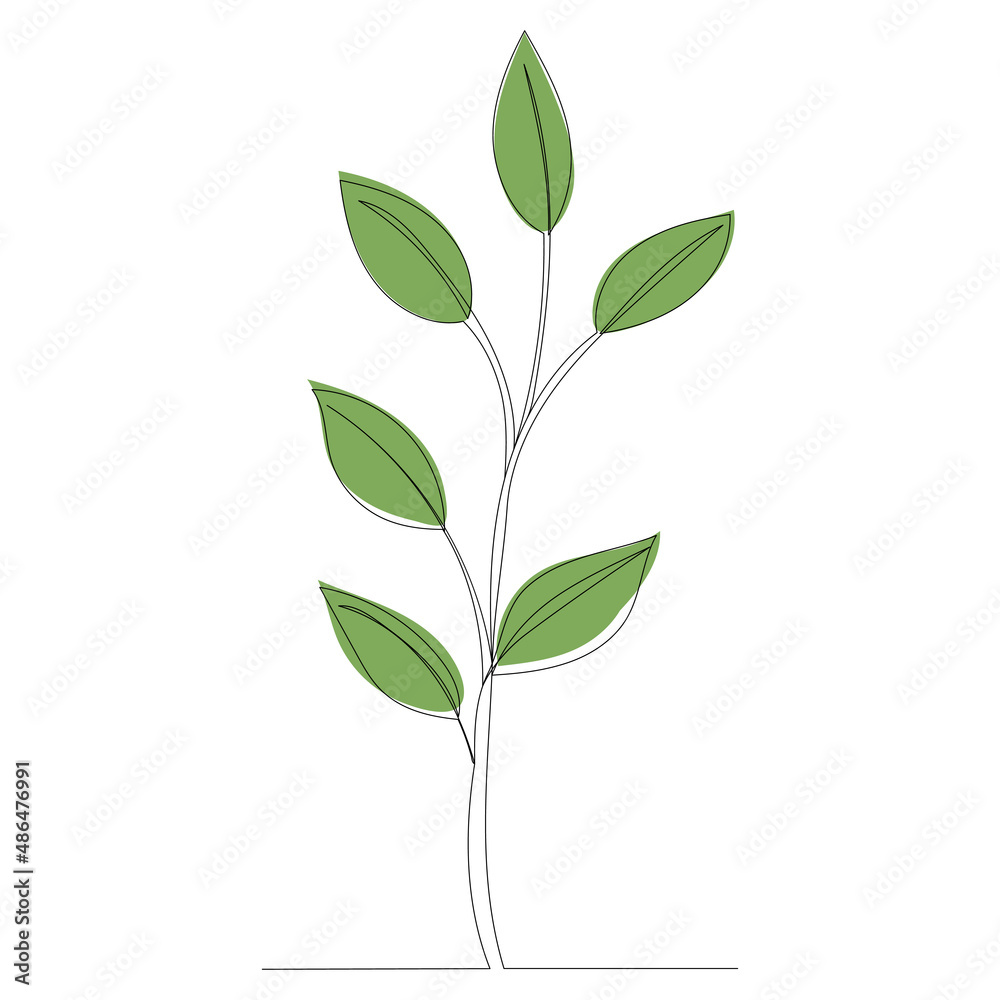plant outline in one line, vector plant outline in one line, vector