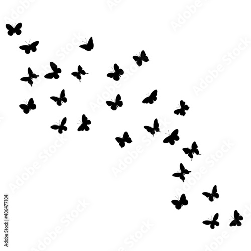 flying butterflies silhouette ,on white background, vector