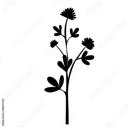 Fototapeta Naklejka Na Ścianę i Meble -  flower, plant silhouette ,white background