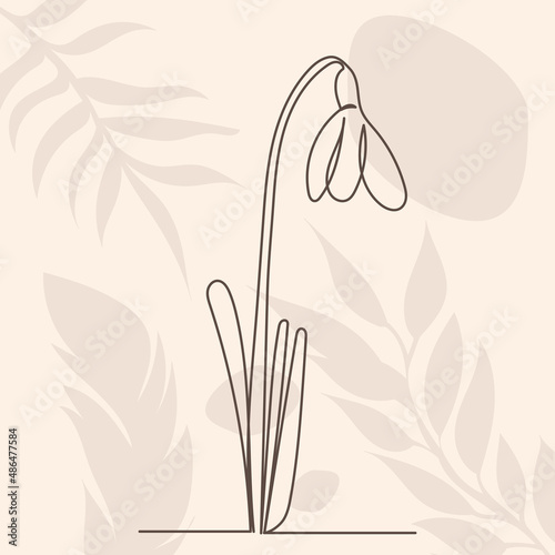 snowdrop outline in one line, on an abstract background, vector