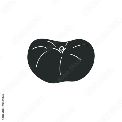 Paraguayan Icon Silhouette Illustration. Exotic Fruit Ripe Vector Graphic Pictogram Symbol Clip Art. Doodle Sketch Black Sign.