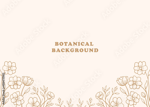 hand drawn botanical floral background