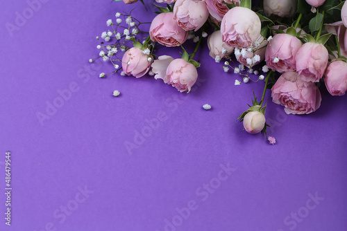 delicate pink flowers and rose buds .bouquet of roses on a purple background